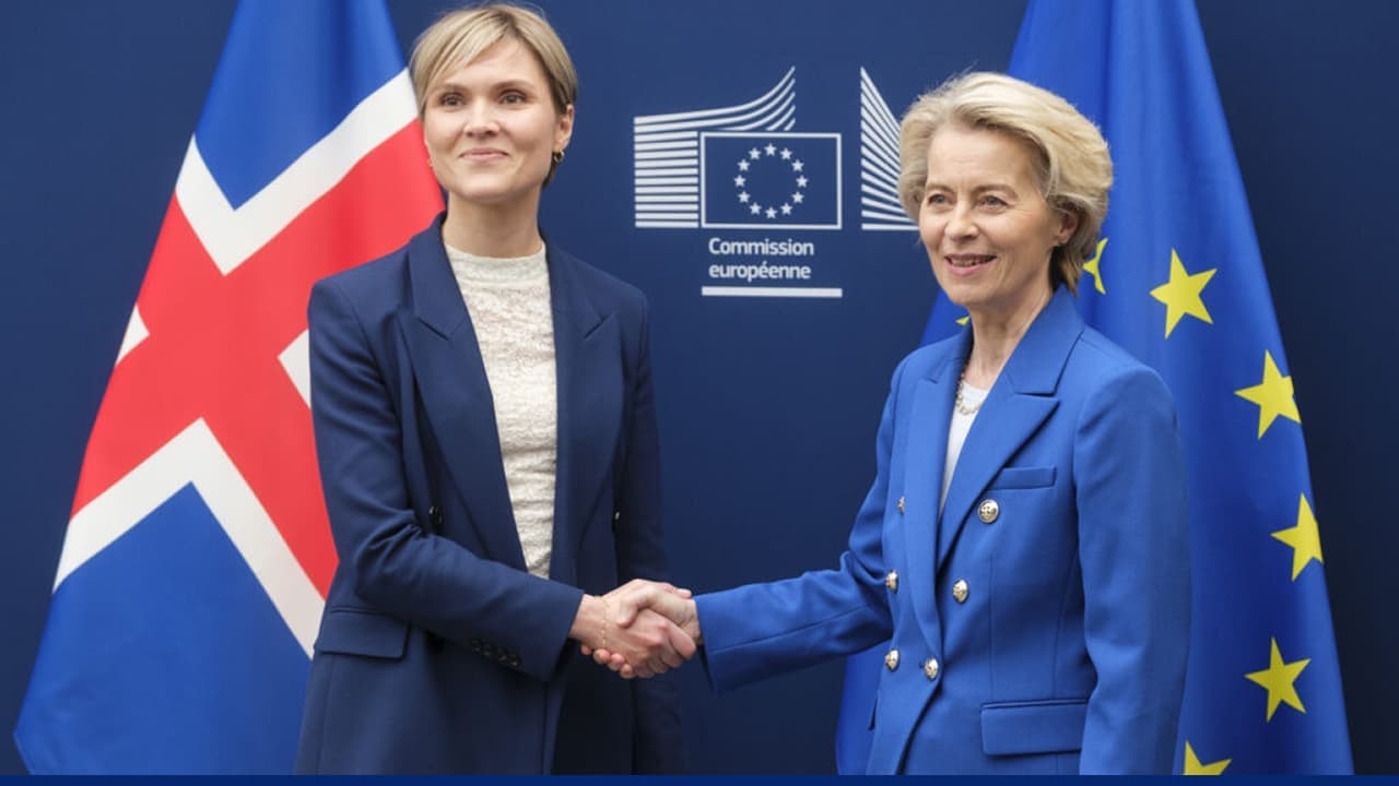 Icelandic and EU leaders shake hands in Brussels