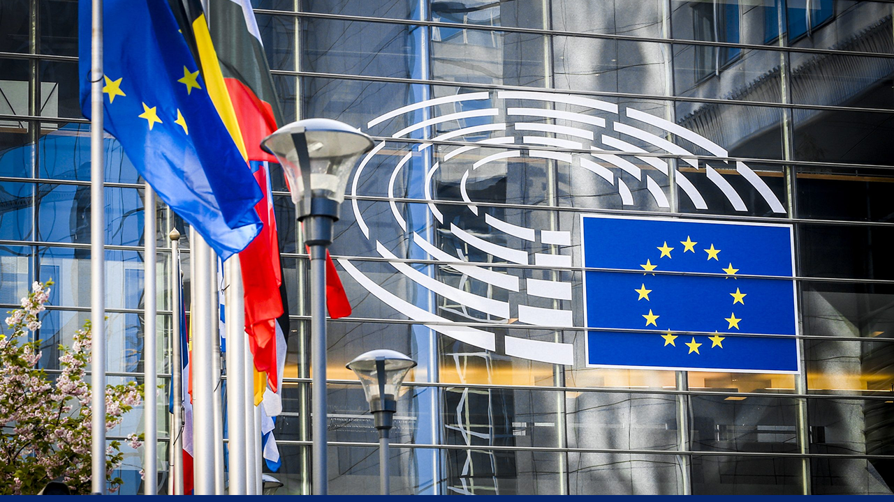 European Parliament building in Brussels with EU and member state flags